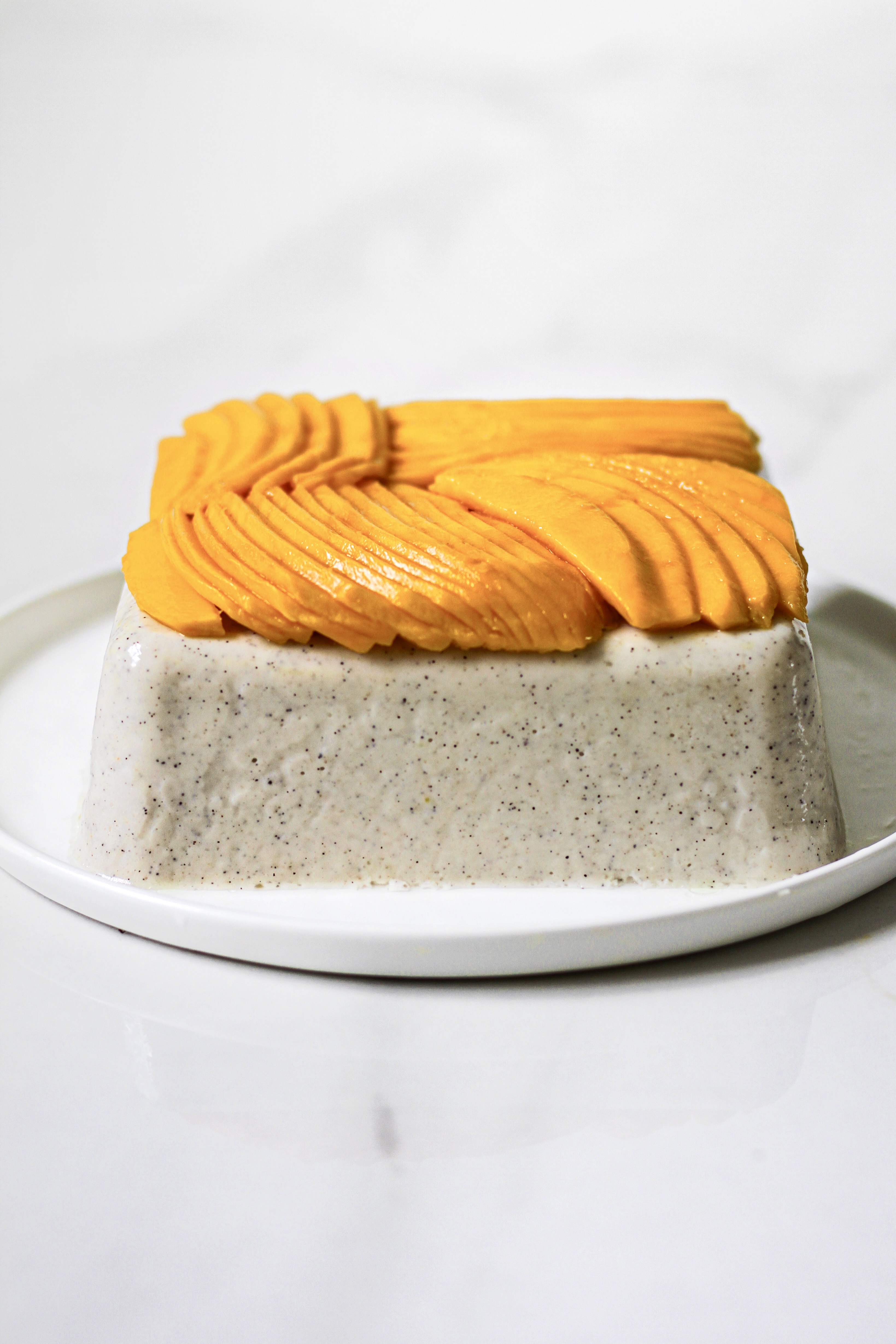Dragon Fruit Coconut Mousse with Mango Vegan Dairy Free