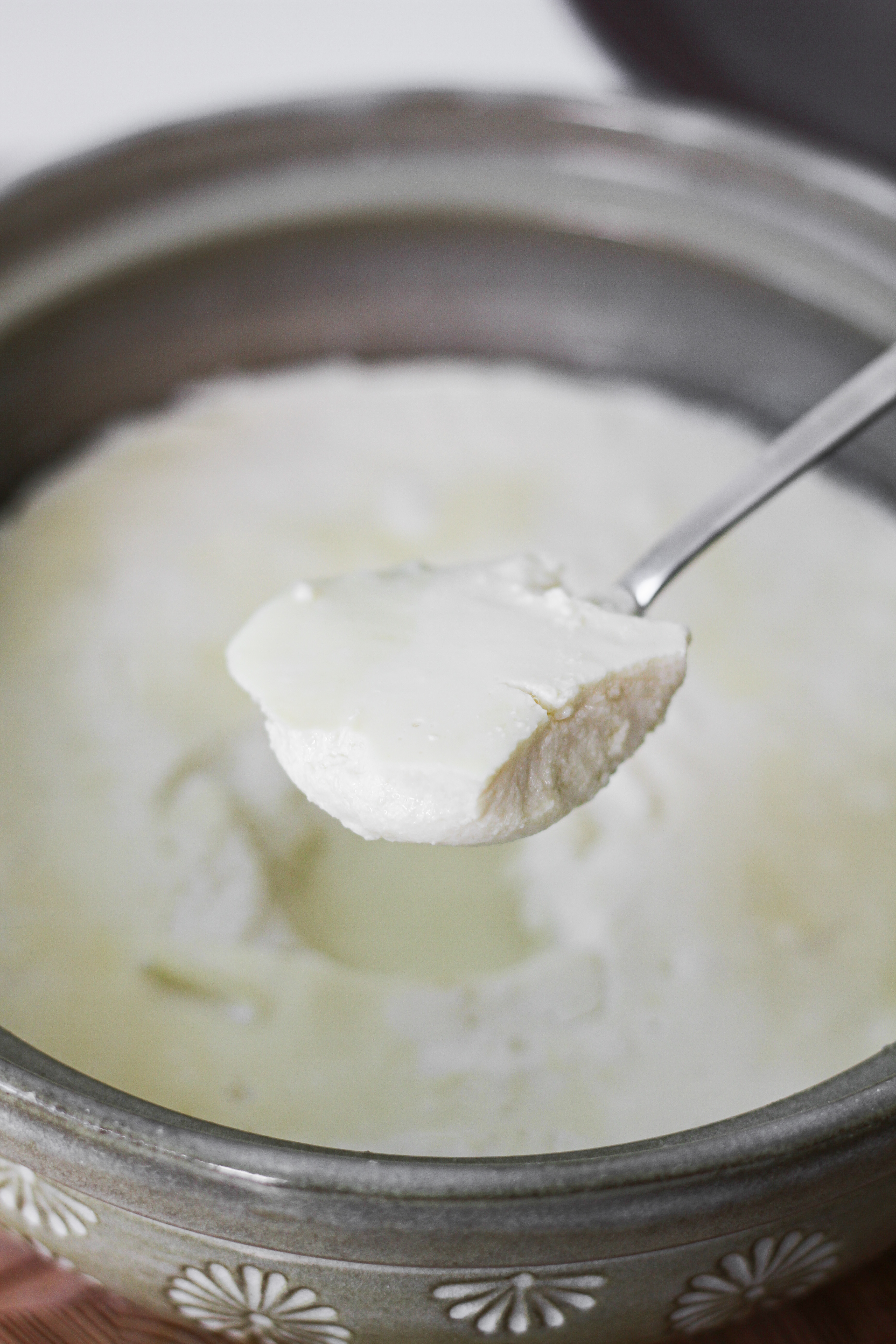 Homemade Silken Tofu 2 Ingredients